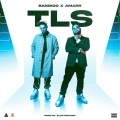 Bandido、Amarr - T L S (Explicit)