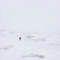 POLAR