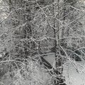 Kyoto、Blixx - IDONTWANTGIFTS (Explicit)