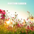 Summer Experience Music Set、Summer Time Chillout Music Ensemble - Poll Time