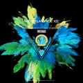 Mike Jaguar - Pajarraco (Original Mix)