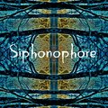 Boutchu - Siphonophore