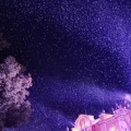 啾咪福袋子_YEKI - 玫瑰星云《我只喜欢你的人设》广播剧ED