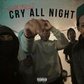 The Music Plug - Cry All Night (feat. WAN BILLZZ)(Explicit)
