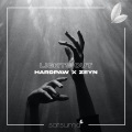 HardPaw、Zeyn、Satsuma Music - Lights Out