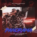 Panorama Hoodu (feat. Nexx & Tony T)(Explicit)