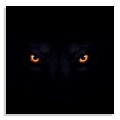 Lion Heart (Lion Eyes Remix)