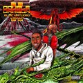 Double Dragon II (Explicit)