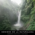 Sonidos de la naturaleza Relajacion、Sonidos De La Selva、Sonidos de Cascadas - Apacible Curso Del Agua