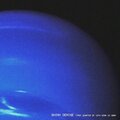 Neptune - Shiny Demise