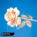 Lost.、Honeyfox、Pop Mage - Beautiful Now
