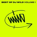 DJ W!LD - When You Feel Me