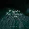 40 Neutral Rain Sounds for Sleep