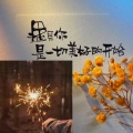 风过树梢 - 江上晚风吟