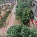 逗逗