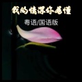 诗心若莲 - 我的情深你若懂