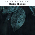 Natural Sound Makers - Instant Falling Asleep Rain Noise pt. 1
