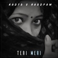 Kad1r、HardPaw - Teri Meri