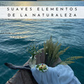 Naturaleza FX、Sonido Del Bosque y Naturaleza、Agua Mantra - Sonidos De Montaña