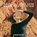 Hoonine - Besé a Aramís