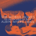 The Sorrow Stays for Good (Albin Myers Remix|Radio Edit)