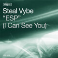 steal vybe - ESP (I Can See You)(Main Mix)