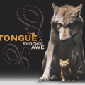 The Tongue、DJ Diaz、DJ Skoob、El Gusto - I Know a Dj (feat. DJ Diaz DJ Skoob El Gusto版)