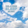 Miriam Belotti、Johann Pachelbel - Canon in D Major
