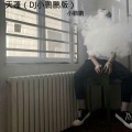 天蓬 (DJ小鹏鹏版)