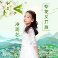 炫音艺术singer - 梨花又开放