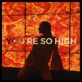 AZS、Zinfandel - You're so high (feat. Zinfandel)