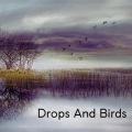 Drops And Birds