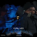 Calvo - Snow Fall (Explicit)