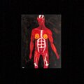 Tyler Johnson - Lies
