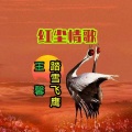 红尘情歌-踏雪飞鹰、王馨