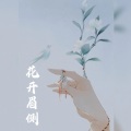 知何、转转z - 花开眉侧