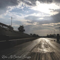 MESTA NET - Lose All Control Swayze