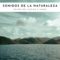 Agua Mantra、Naturaleza Sonidos、Lluvia - Ríos Rápidos