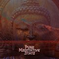 Pure Meditative State: Mindfulness Meditation for Enhance Positive Energy