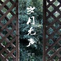 魏小茄_Will - 岁月无声