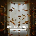Scheno - Butterfly