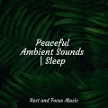Peaceful Ambient Sounds | Sleep