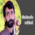 Shahzad Zakhmi - Yar Teda Tan Yar -