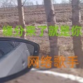 董洪涛 - 春暖花开回故乡