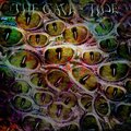The Cave - Tide