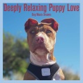 Dog Music Therapy、Dog Music Dreams、Relaxmydog - Blue Waters