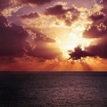 Sleepy Times、Water Sound Natural White Noise、Meditaciónessa - Soothing Sweetness