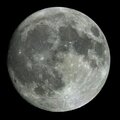 TØTEM - Tomando la luna