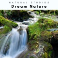Song Wind、Nature Recordings、Weather Experience、Nature Sounds - Calming Nature Music for Dreams pt. 2 (feat. Nature Recordings, Nature Sounds & Weather Experience)