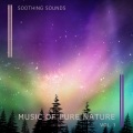 Music of Pure Nature vol. 1